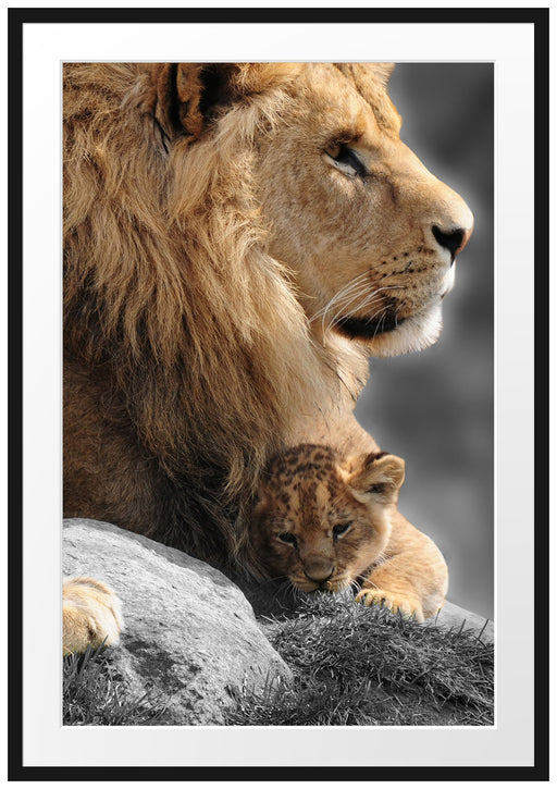 Löwe mit Löwenbaby Passepartout 100x70