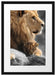 Löwe mit Löwenbaby Passepartout 55x40