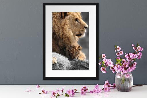 Löwe mit Löwenbaby Passepartout Wohnzimmer