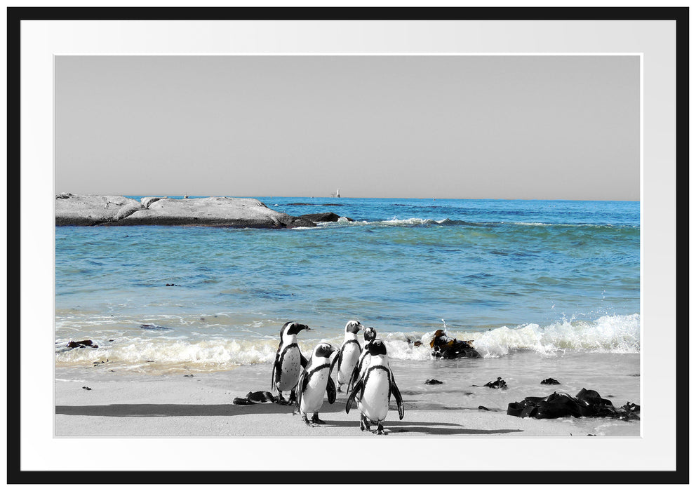 Pixxprint lustige Pinguine am Strand, im Galerie-Passepartout Bilderrahmen