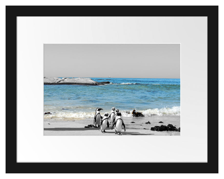 lustige Pinguine am Strand Passepartout 38x30