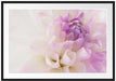 Blüte mit lila Blütenbläter Passepartout 100x70