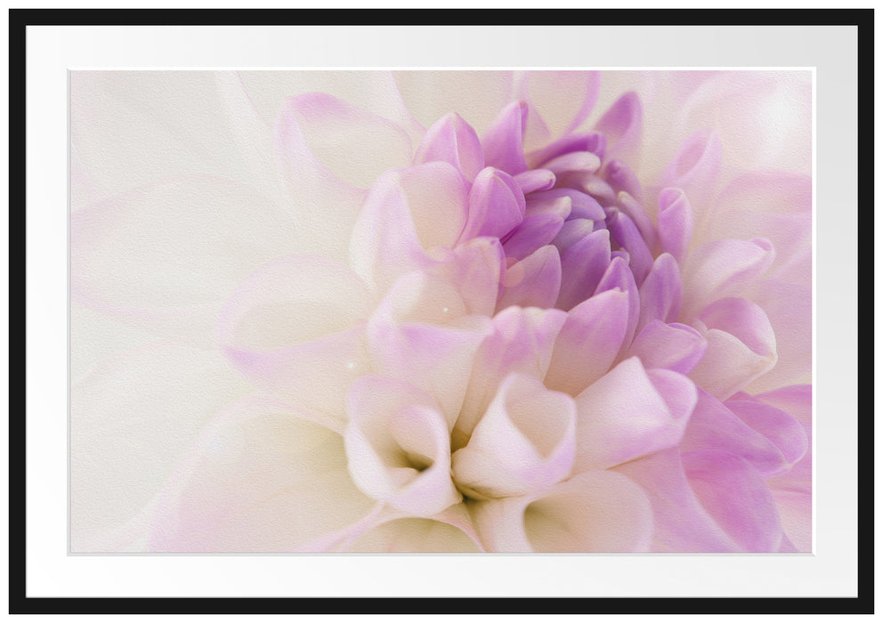 Pixxprint Blüte mit lila Blütenbläter, im Galerie-Passepartout Bilderrahmen