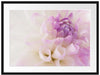Blüte mit lila Blütenbläter Passepartout 80x60