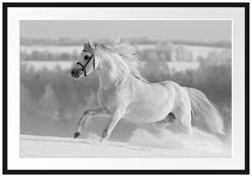 weißes Pferd auf Schneewiese Passepartout 100x70