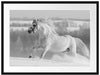 weißes Pferd auf Schneewiese Passepartout 80x60