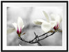 Magnolienblüten Passepartout 80x60