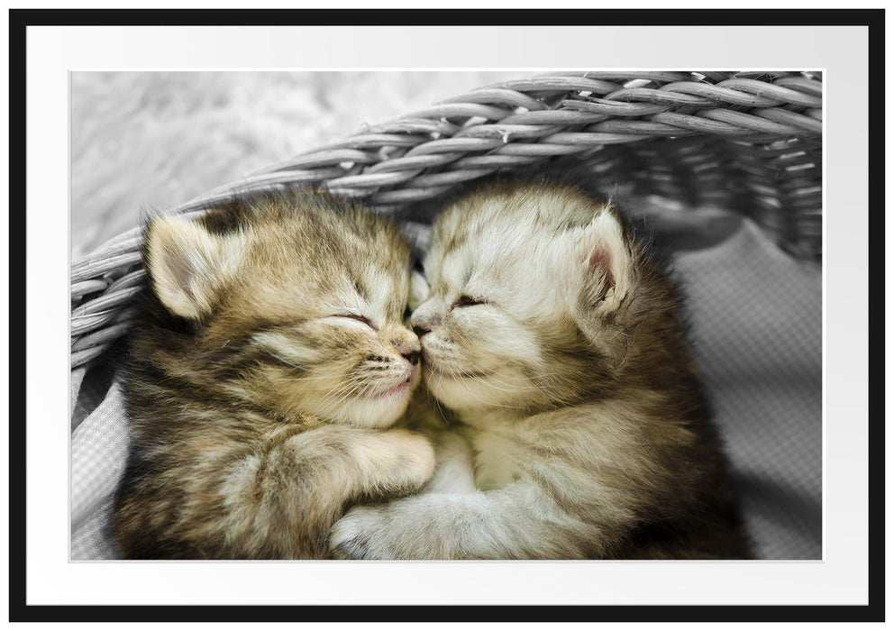 Pixxprint Zwei süße Babykatzen im Korb, im Galerie-Passepartout Bilderrahmen