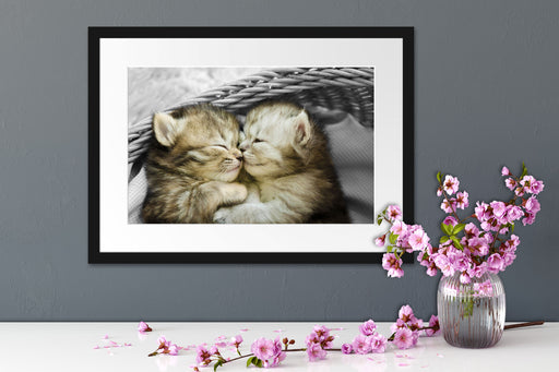 Zwei süße Babykatzen im Korb Passepartout Wohnzimmer