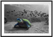 Schildkröte im Ozean Passepartout 100x70