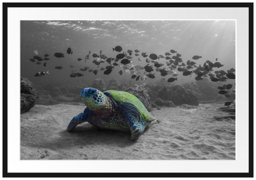 Schildkröte im Ozean Passepartout 100x70