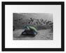 Schildkröte im Ozean Passepartout 38x30