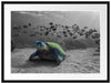 Schildkröte im Ozean Passepartout 80x60