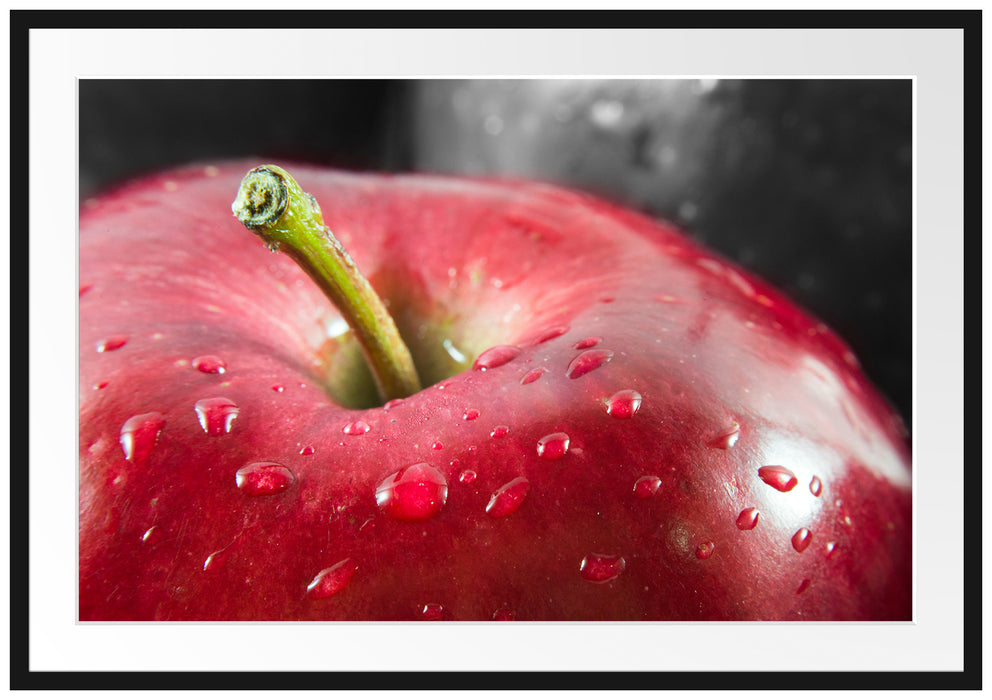 Pixxprint roter Apfel mit Wassertropfen, im Galerie-Passepartout Bilderrahmen