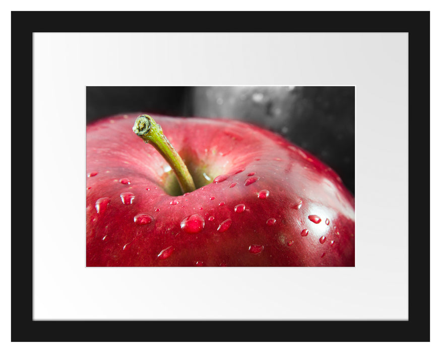 roter Apfel mit Wassertropfen Passepartout 38x30