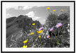 Blumenwiese im Frühling Passepartout 100x70