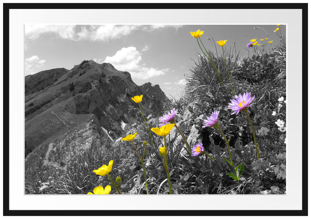 Pixxprint Blumenwiese im Frühling, im Galerie-Passepartout Bilderrahmen