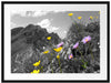Blumenwiese im Frühling Passepartout 80x60
