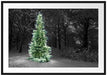 Weihnachtsbaum im Winter Passepartout 100x70