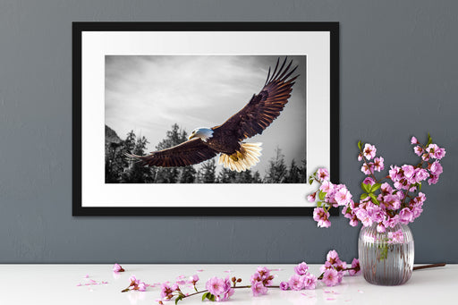 großer fliegender Adler Passepartout Wohnzimmer