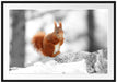 Eichhörnchen in verschneitem Wald Passepartout 100x70