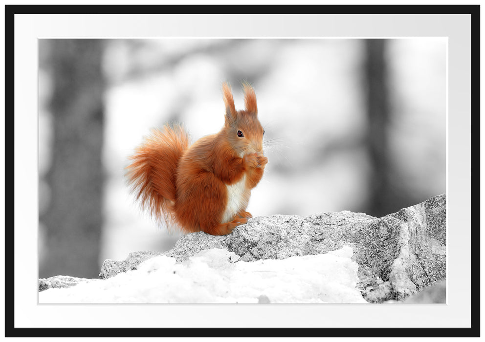 Pixxprint Eichhörnchen in verschneitem Wald, im Galerie-Passepartout Bilderrahmen