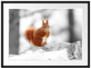 Eichhörnchen in verschneitem Wald Passepartout 80x60