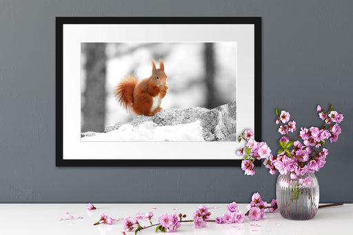 Eichhörnchen in verschneitem Wald Passepartout Wohnzimmer