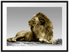 majestäischer Löwe auf Fels Passepartout 80x60