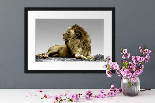 majestäischer Löwe auf Fels Passepartout Wohnzimmer