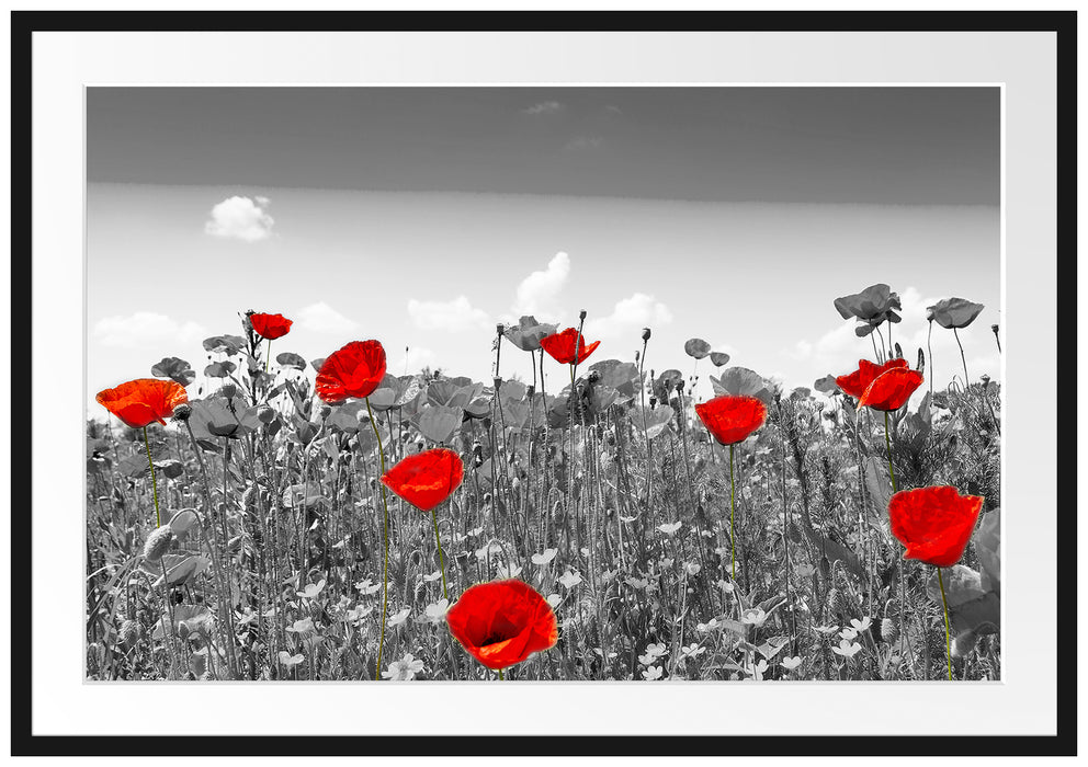 Pixxprint schöner rot leuchtender Mohn, im Galerie-Passepartout Bilderrahmen