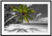riesige Palme über Strand Passepartout 100x70