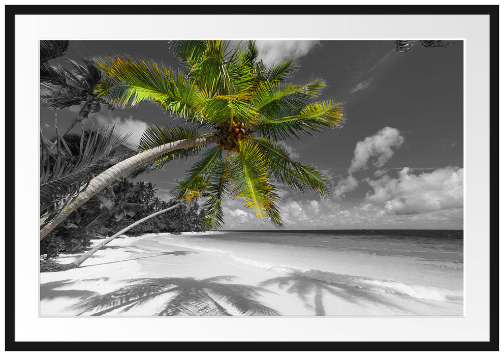 Pixxprint riesige Palme über Strand, im Galerie-Passepartout Bilderrahmen