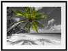riesige Palme über Strand Passepartout 80x60