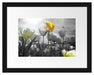 wunderschöne Tulpenwiese Passepartout 38x30