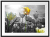 wunderschöne Tulpenwiese Passepartout 80x60
