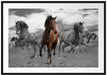 Mustangherde im Sand Passepartout 100x70