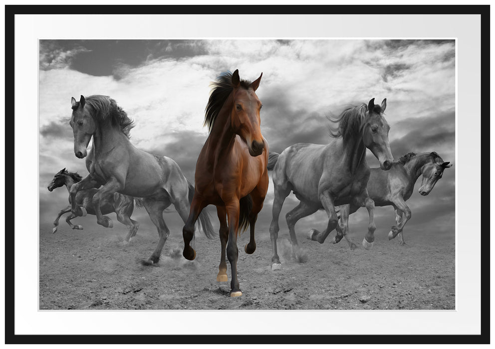 Pixxprint Mustangherde im Sand, im Galerie-Passepartout Bilderrahmen