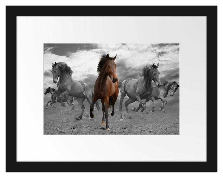 Mustangherde im Sand Passepartout 38x30