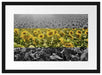 Wunderschönes Sonnenblumenfeld Passepartout 55x40