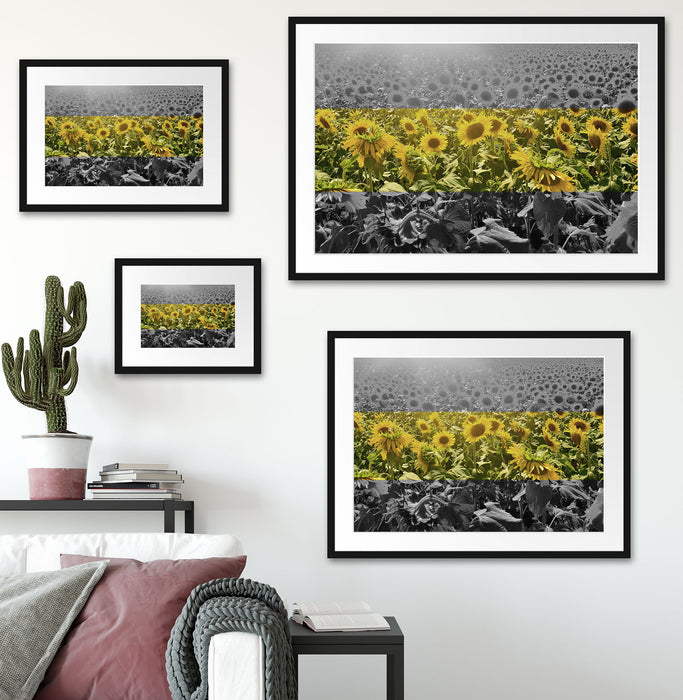 Wunderschönes Sonnenblumenfeld Passepartout Dekovorschlag