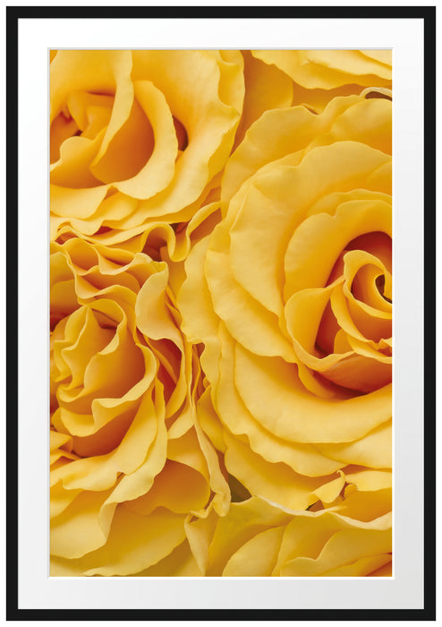 Pixxprint Blumen Rosen, im Galerie-Passepartout Bilderrahmen