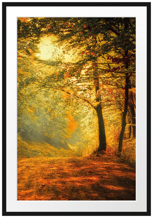 Pixxprint Wald im Herbst, im Galerie-Passepartout Bilderrahmen