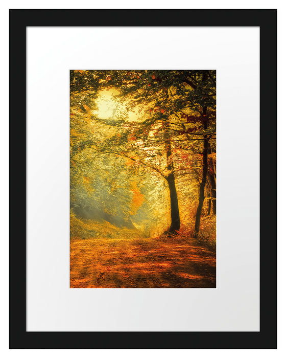 Wald im Herbst Passepartout 38x30
