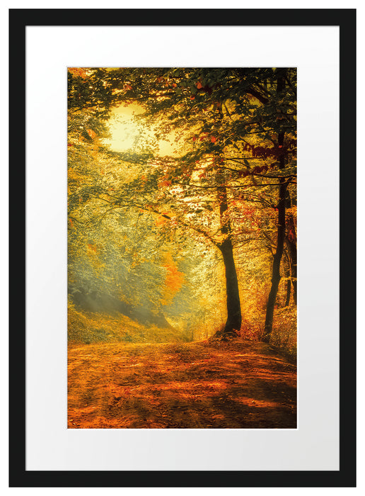 Wald im Herbst Passepartout 55x40