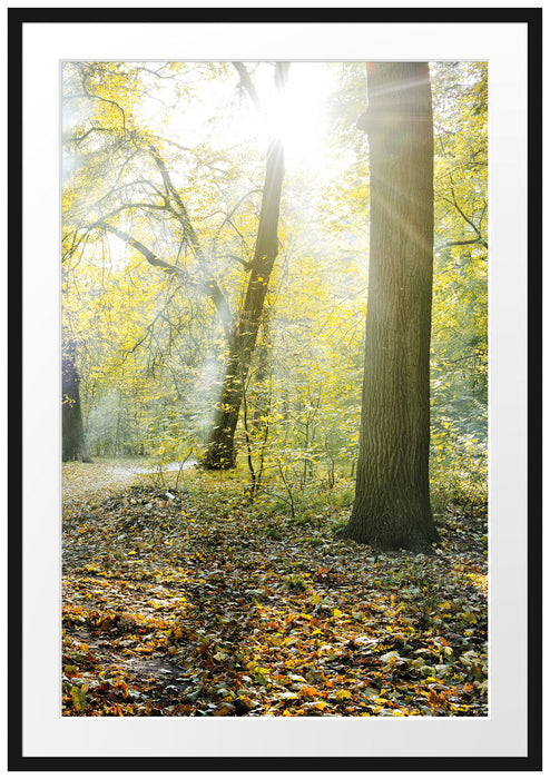 Pixxprint Sonnenstrahlen auf Waldlichtung, im Galerie-Passepartout Bilderrahmen