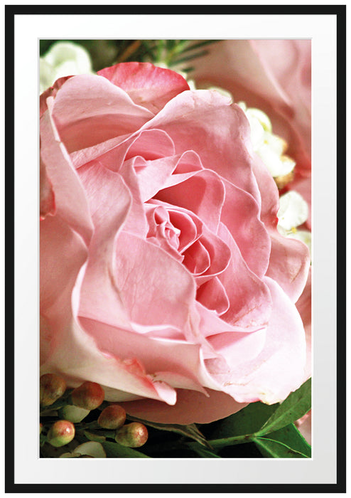 Pixxprint Rosa Rose, im Galerie-Passepartout Bilderrahmen