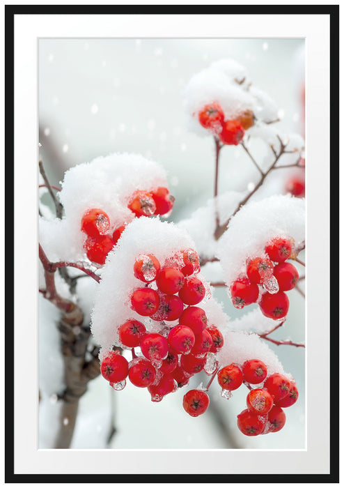 Pixxprint Gefrorene Äste, im Galerie-Passepartout Bilderrahmen