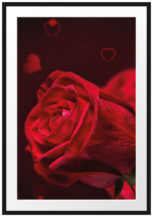 Rote Rosen Valentinstag Passepartout 100x70