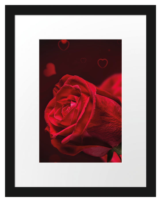 Rote Rosen Valentinstag Passepartout 38x30
